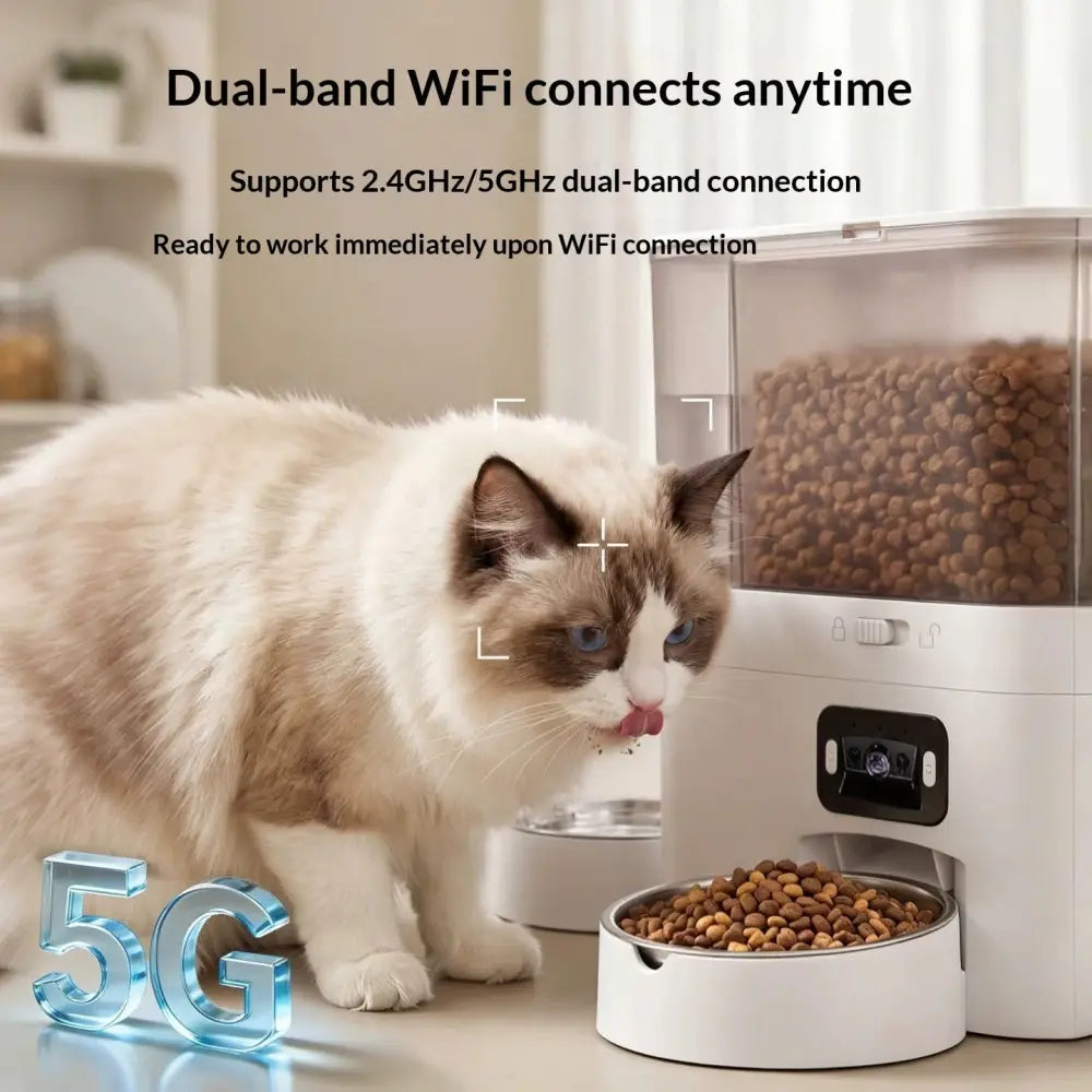 Cat Smart Water Fountain And Automatic Feeder - Cat Water Fountain