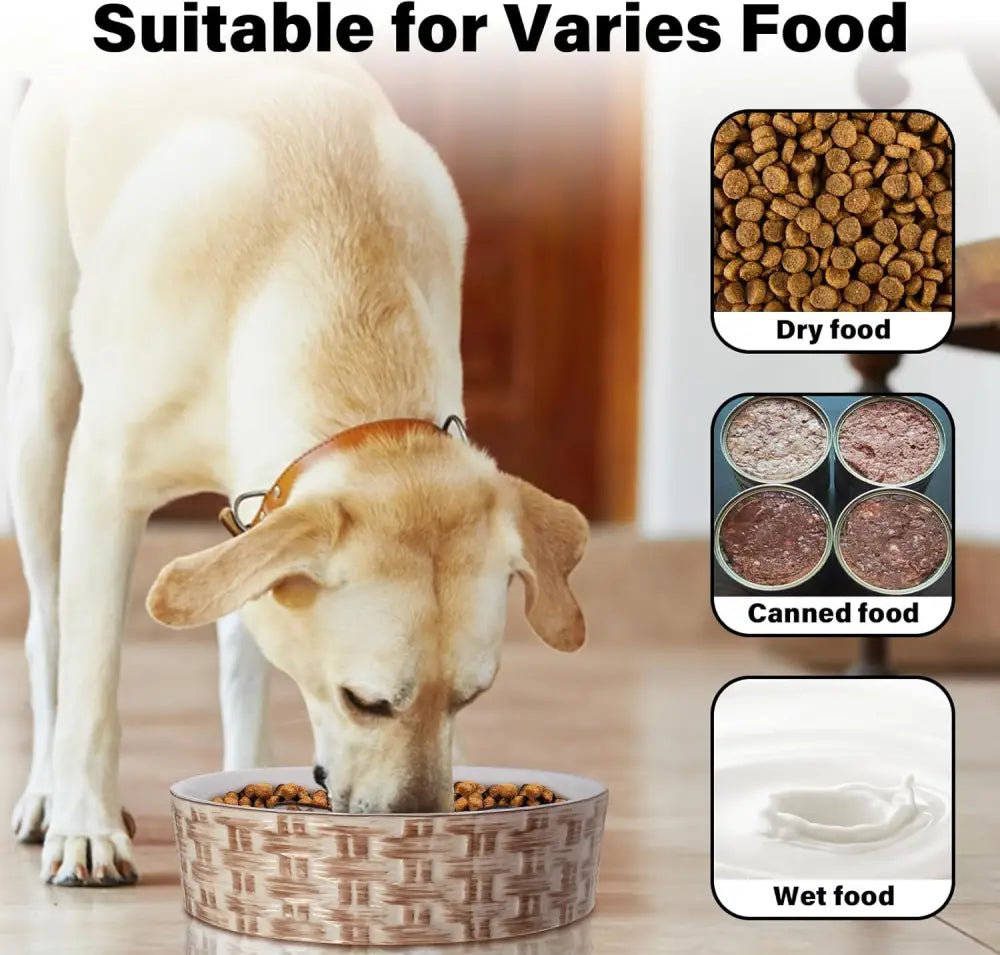 Ceramic Slow Feeder Dog Bowl Slow Feeder Dog Bowl For Medium Large Anti-Choking Slow Eating Dog Bowl Non Slip Dog Bowl
