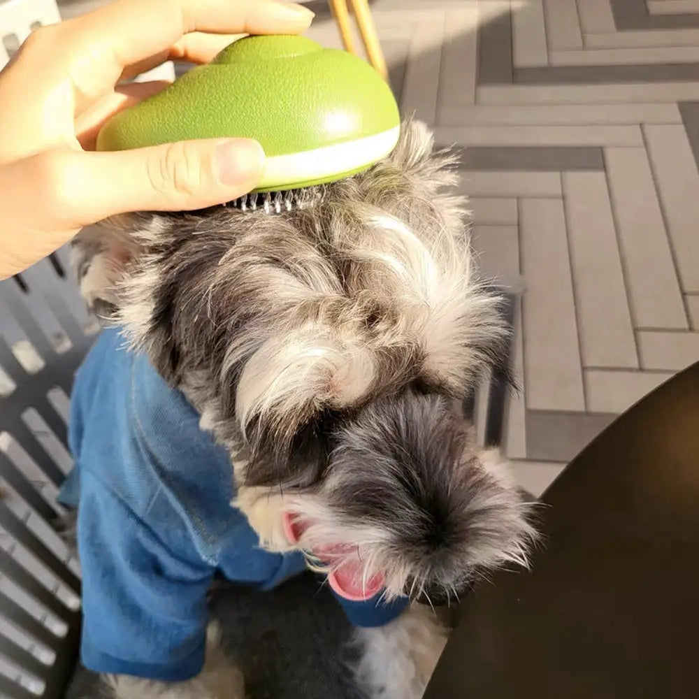 Creative Cat Grooming Comb Portable Massage Brush One-Button Remove Floating Hair Scraper Cats Dogs Pet Self Cleaning