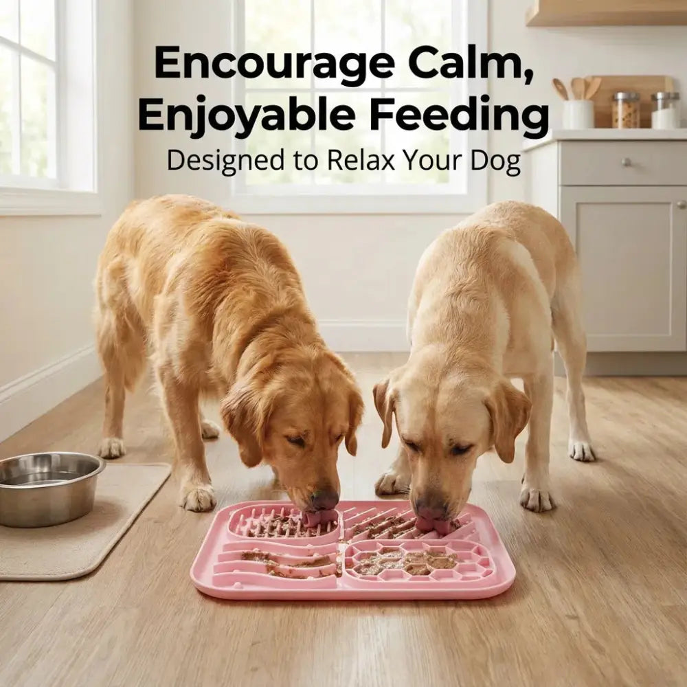 Dog Slow Feeder Bowl With Suction Cup To Prevent Choking And Encourage Slow Eating Mat - Slow Feeder Bowl