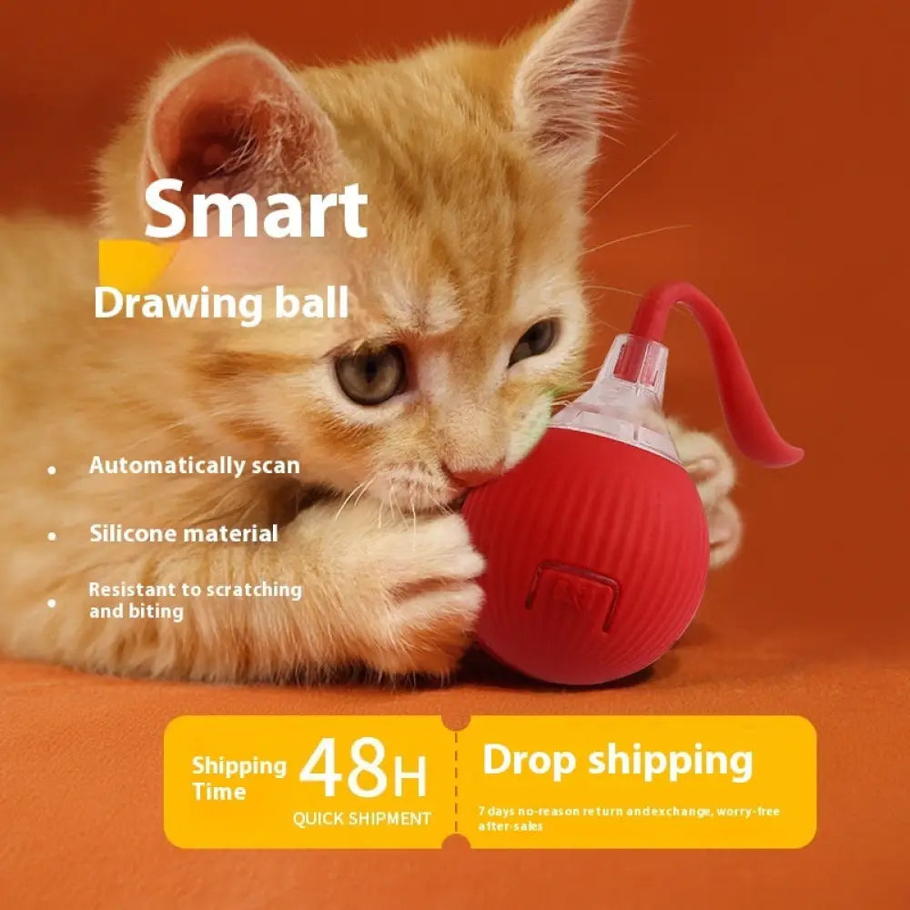 Interactive Cat Toy Ball Super Drive Cat Rolling Ball - Interactive Cat Toy