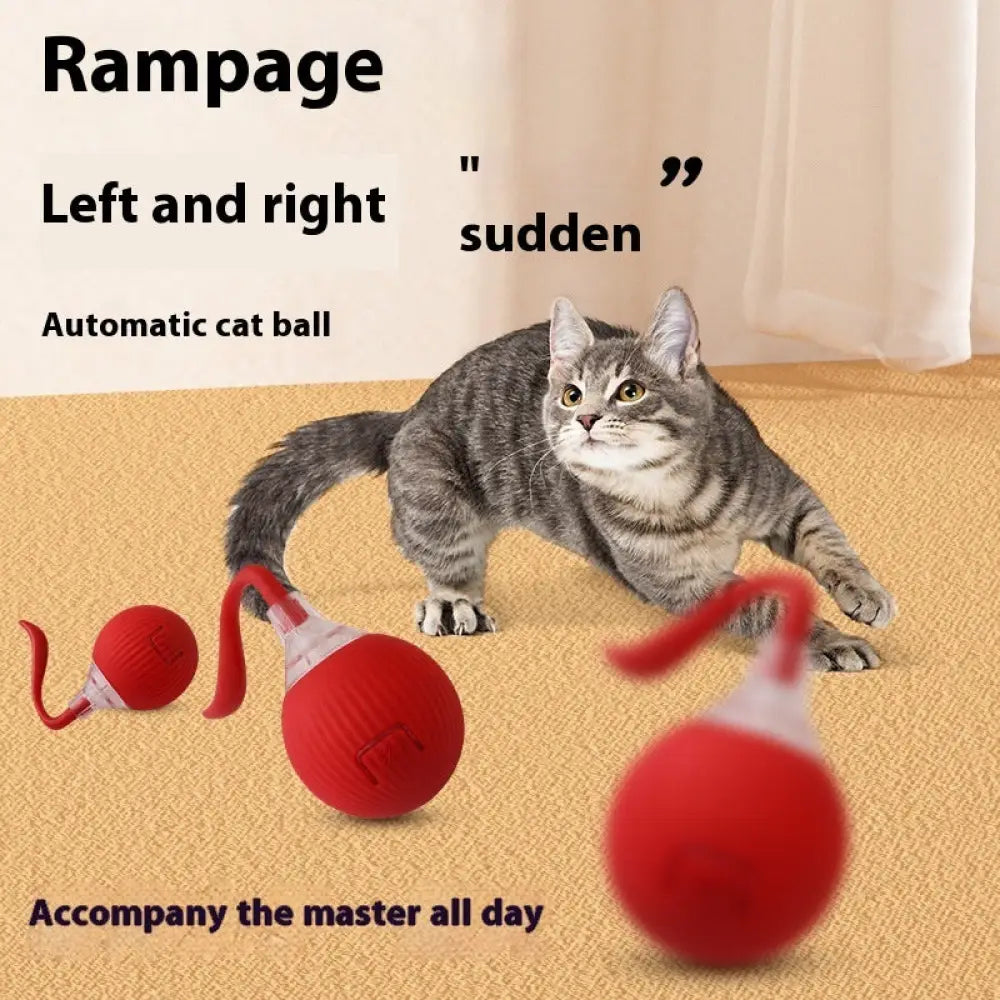 Interactive Cat Toy Ball Super Drive Cat Rolling Ball - Interactive Cat Toy