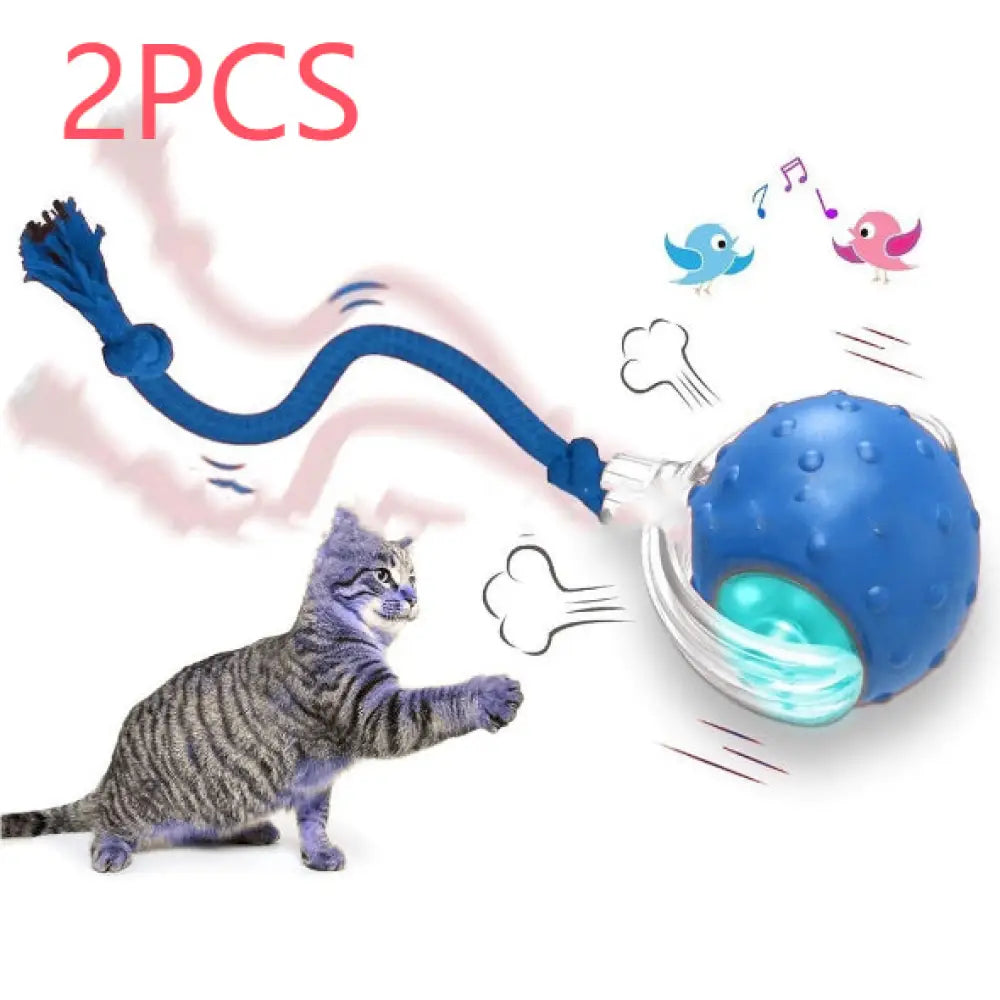 Interactive Cat Toy Ball Super Drive Cat Rolling Ball - The birds call is Blue 2PCS - Interactive Cat Toy