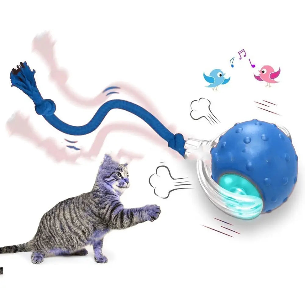 Interactive Cat Toy Ball Super Drive Cat Rolling Ball - The birds call is Blue - Interactive Cat Toy