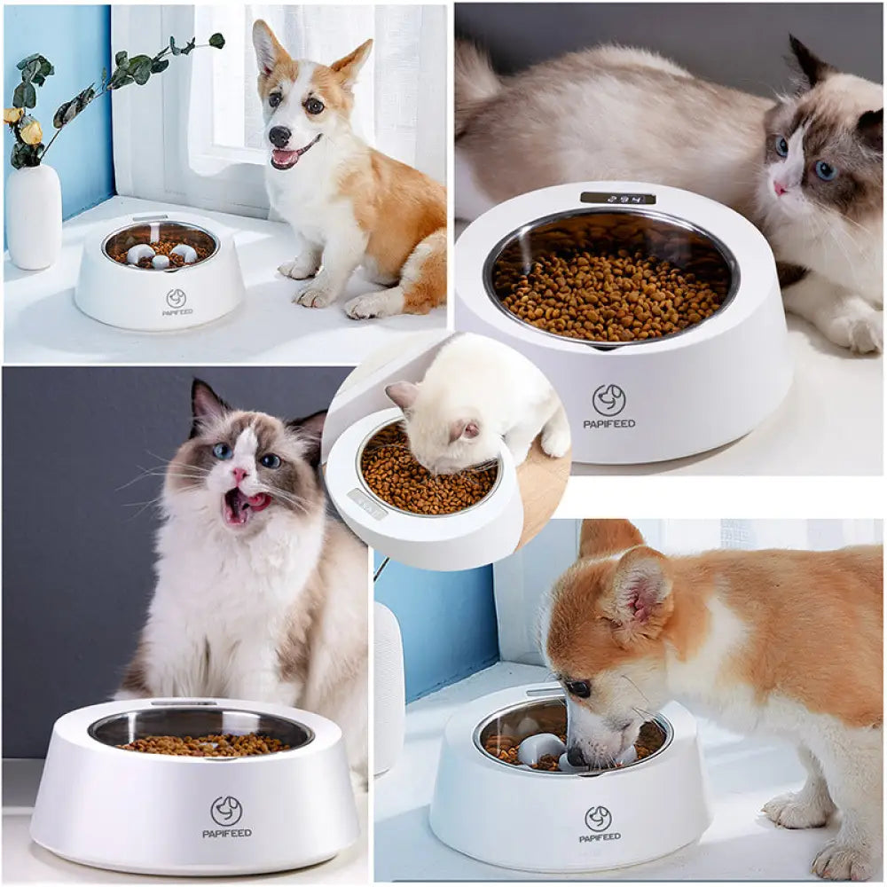 Pet Dog Bowl Slow Feeder Dog Food Bowl Smart Weighing Dog Slow Feeder Cat Pet Feeder - White - Slow Feeder Bowl